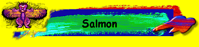  Salmon 