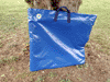 bolsa