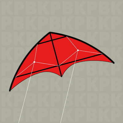 Dual line kites