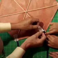 Image for Bermuda Kite