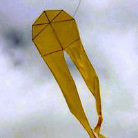 Image for 8 Points Pyro