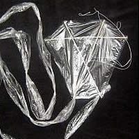 Image for 1-Skewer Barn Door Kite Plans