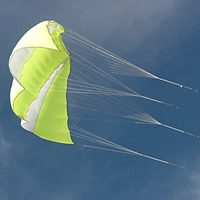 Image for Adjustable Bridle for NPW