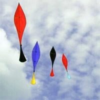 Image for Flying Fish