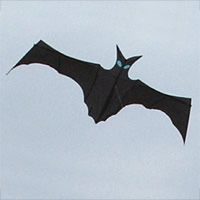 Image for Fledermaus