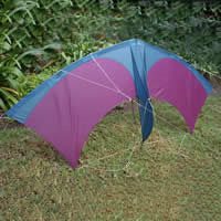 Image for Apocalypse