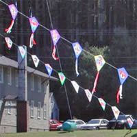 Image for 20 Anniversary Kite Arch Plan