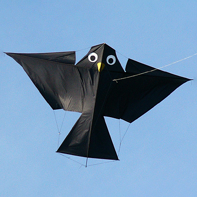 Image for Arno Haft Bird