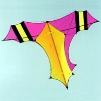 Image for Angled Wing II