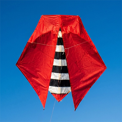 Image for Randy Shannon's Baby Cicada