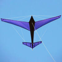 Image for Berlin Flier Airplane