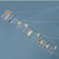 Image for Brochette d'Eaux