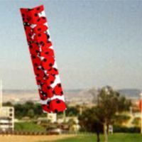 Image for Bug Buddies