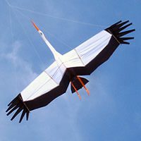 Image for Mi Cigüeña