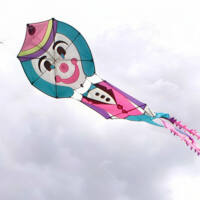 Image for Clown kite