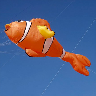 Image for Clownfisch