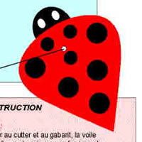 Image for La coccinelle