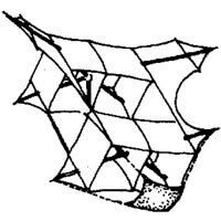 Image for Maken van een cody