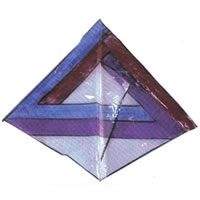 Image for Optical confusion