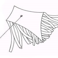 Image for Conover Eddy and Eddy Bird