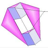 Image for Conyne 1902