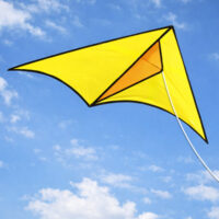 Image for Tony Cypher's Delta Kite