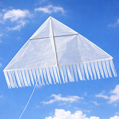 Image for Bag Delta Kite - Tony Cyphert's Formula