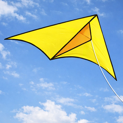 Image for Tony Cypher's Delta Kite