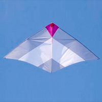 Image for Thermik-Delta 201