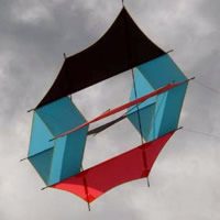 Image for Gevleugelde doosvlieger