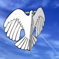 Image for Peace Dove