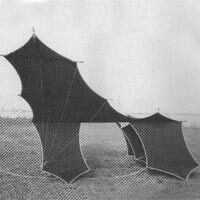 Image for dp-51-cody