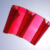 Image for Doubleparasled