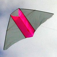 Image for Dunton-Taylor Box Delta