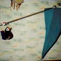 Image for Drachenfähre