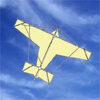 Image for Flugzeugdrachen