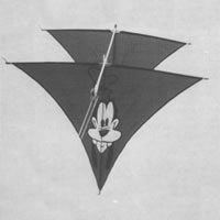 Image for ferry/boodschapper