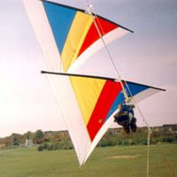 Image for Ferry / Boodschapper