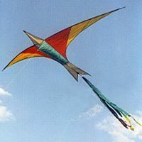 Image for Feuervogel