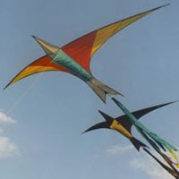 Image for Der Feuervogel