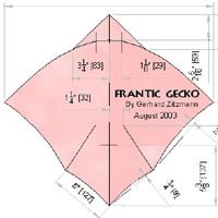 Image for Frantic Gecko