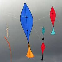 Image for Fisch-Drachen