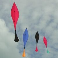 Image for The Flying Fish