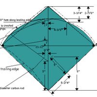 Image for Big Slow Dog