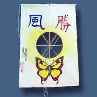 Image for Korean Kite