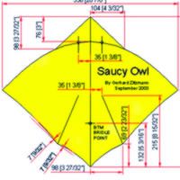 Image for Saucy Owl