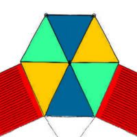 Image for Surinaamse Vechtvlieger