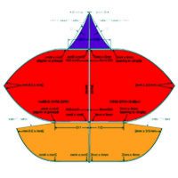 Image for Pakistani Tukkal