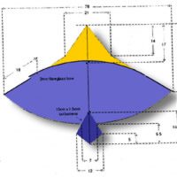 Image for "Wau" Bird