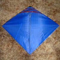 Image for Bateman Beginner Fighter